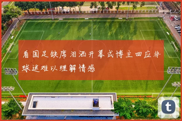 看国足缺席泪洒开幕式博主回应非球迷难以理解情感