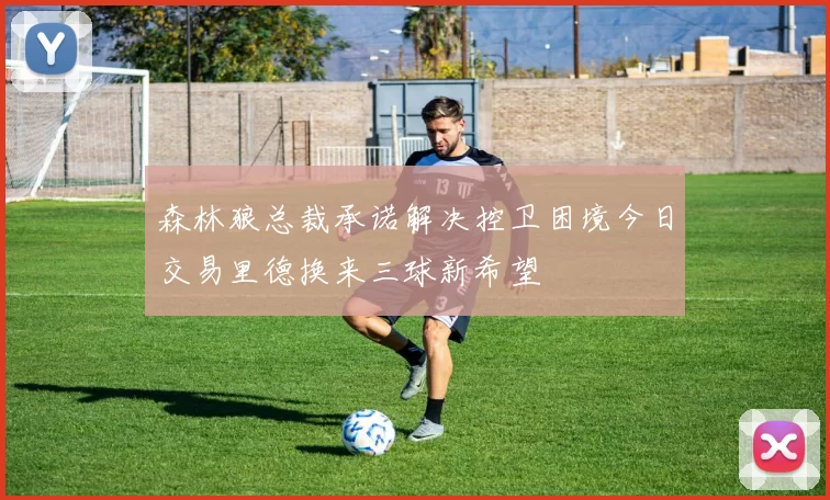 森林狼总裁承诺解决控卫困境今日交易里德换来三球新希望