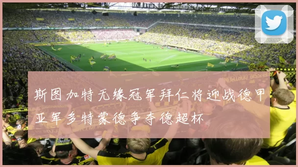 斯图加特无缘冠军拜仁将迎战德甲亚军多特蒙德争夺德超杯