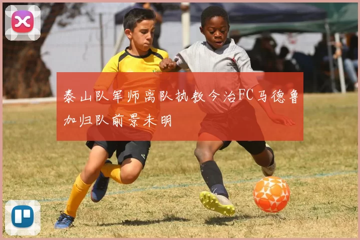 泰山队军师离队执教今治FC马德鲁加归队前景未明